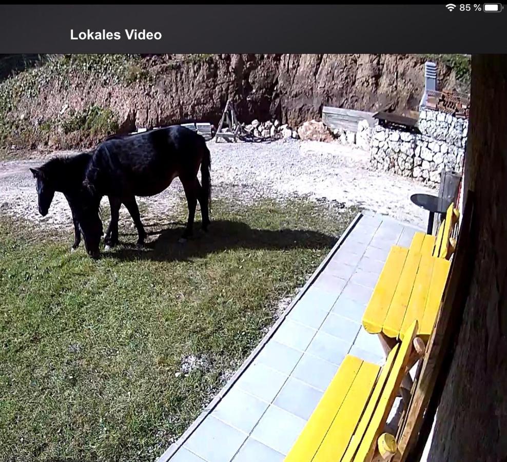 Apartments Villa Deja Jahorina Dış mekan fotoğraf