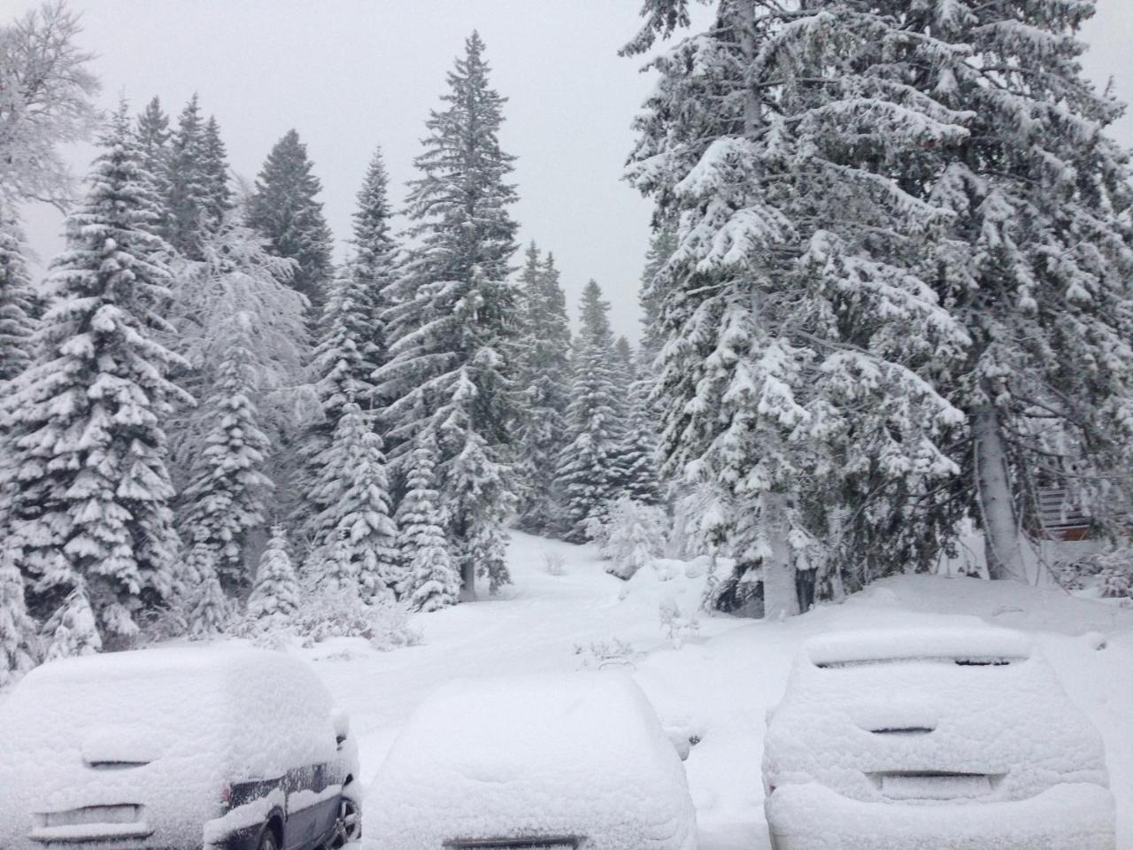 Apartments Villa Deja Jahorina Dış mekan fotoğraf